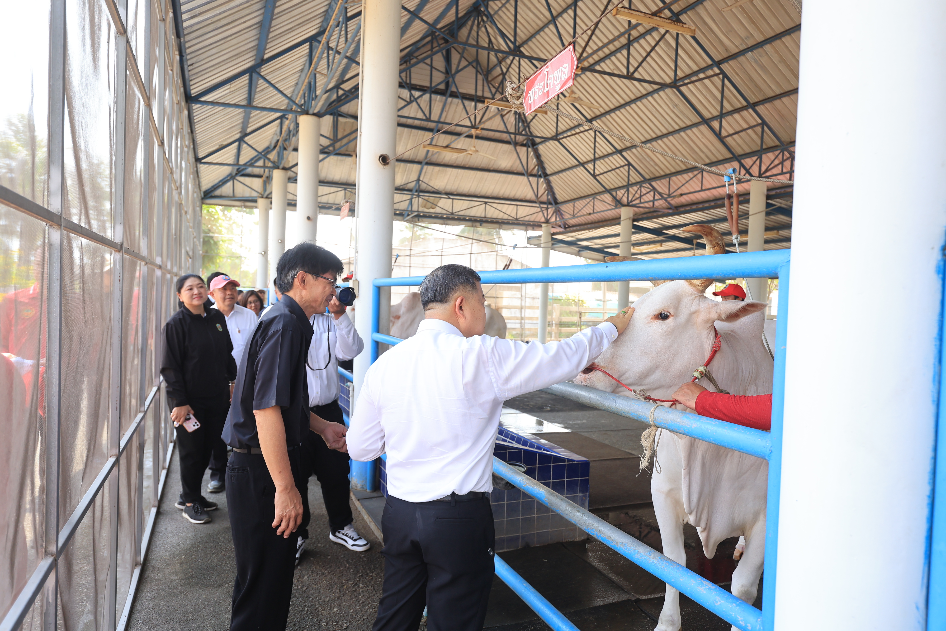 title - ส.ป.ก. เข้าร่วมการตรวจเยี่ยมการจัดเตรียมพระโค ในงานพระราชพิธีพืชมงคลจรดพระนังคัลแรกนาขวัญ ประจำปี 2569